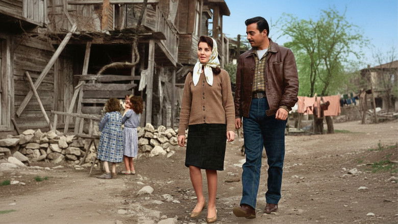 кадр из фильма Avare Mustafa