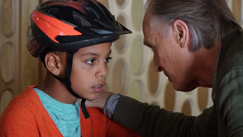 кадр из фильма Ray Meets Helen