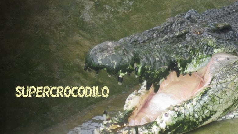 кадр из фильма Man-Eating Super Croc