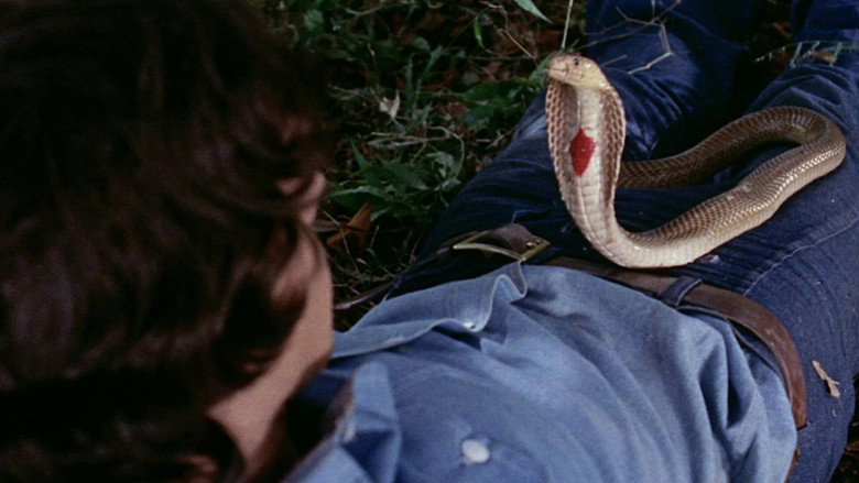 кадр из фильма Night of the Cobra Woman