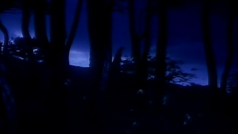 кадр из фильма ちぎれた愛の殺人