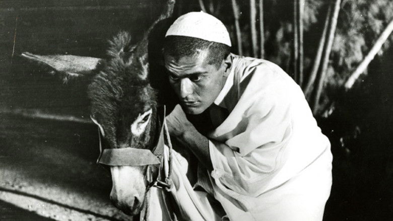 кадр из фильма Goha