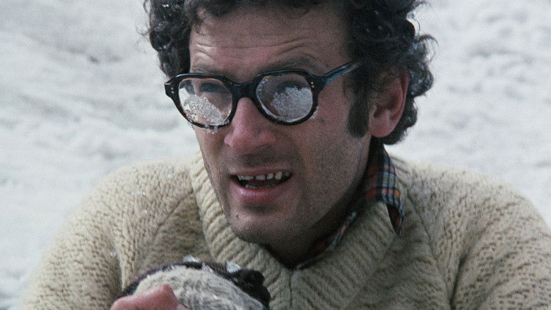 кадр из фильма Иллюминация