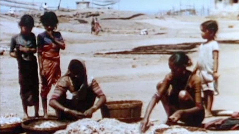 кадр из фильма Colorful Bombay