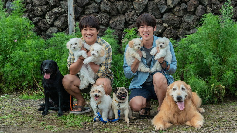 кадр из фильма Мой пёс Руни