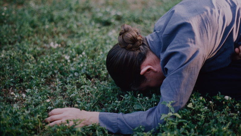 кадр из фильма La Tormenta