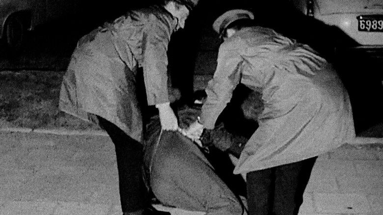 кадр из фильма Zwyczajny kraj