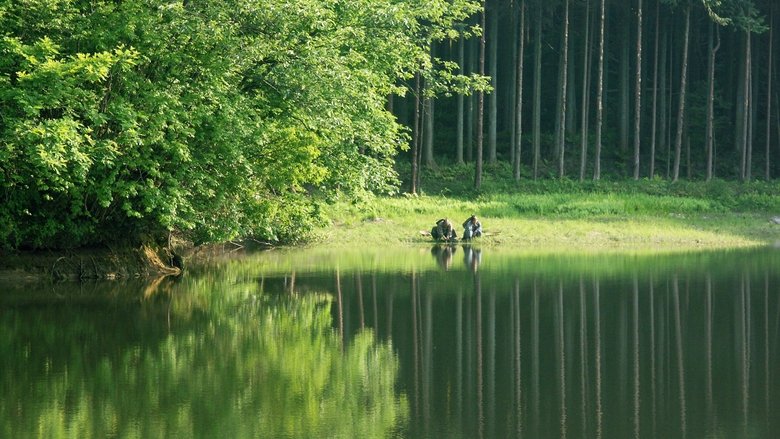 кадр из фильма 花よりもなほ