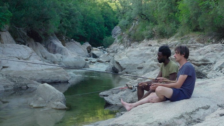 кадр из фильма Кометы: Лето на Корсике