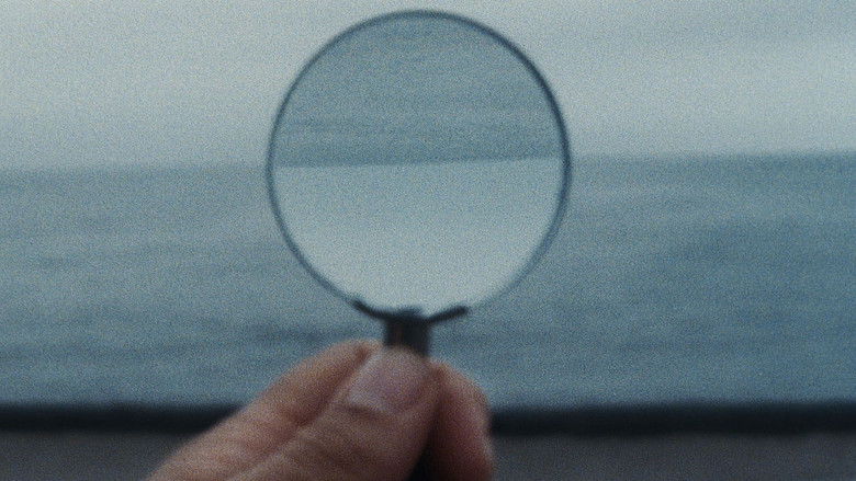 кадр из фильма Метаморфоза птиц