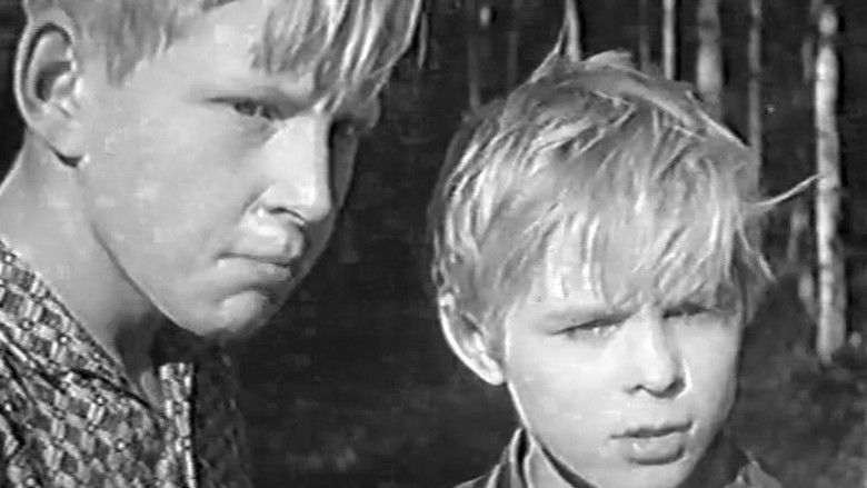 Ты приходи к нам, приходи...