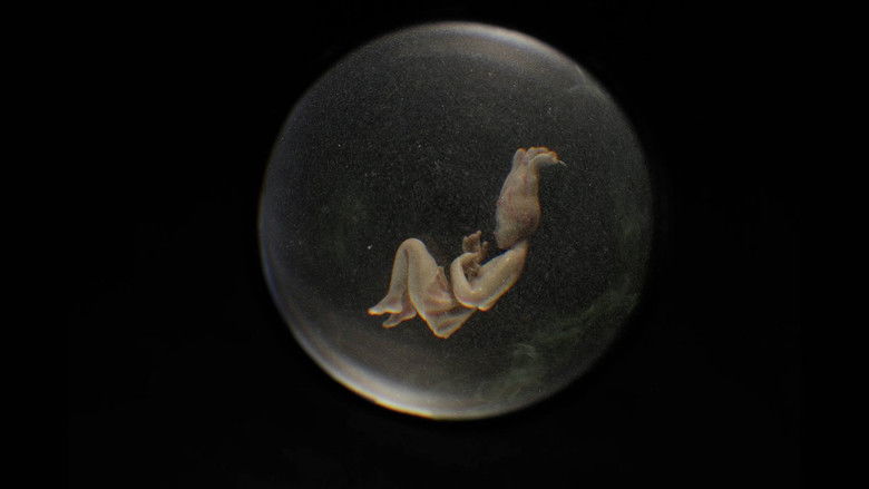 кадр из фильма Juured