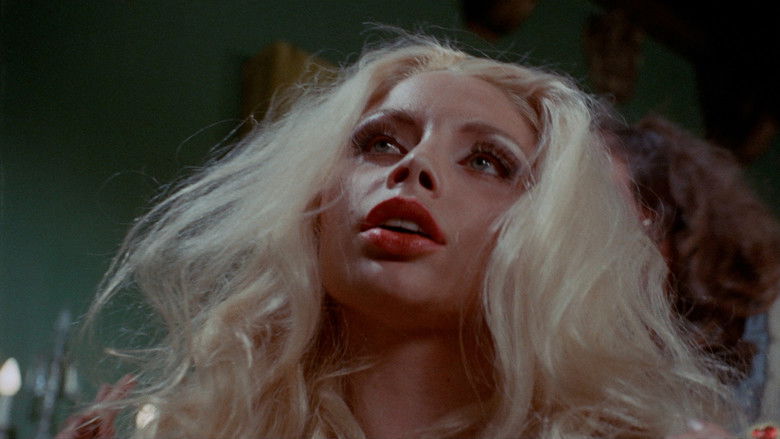 кадр из фильма Hollywood Horror House