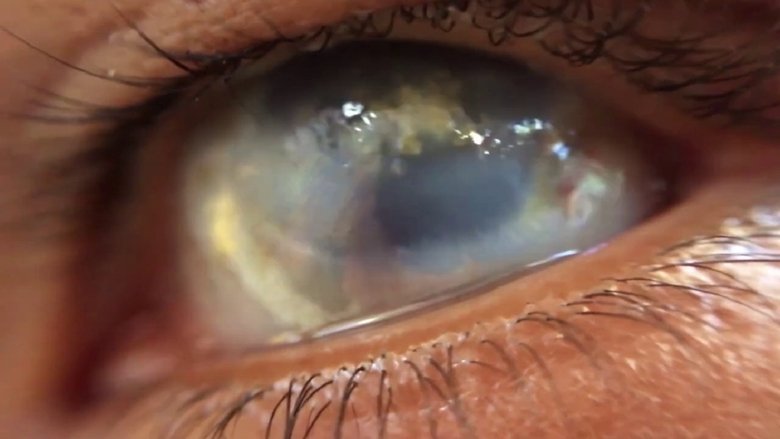 кадр из фильма For My Alien Friend