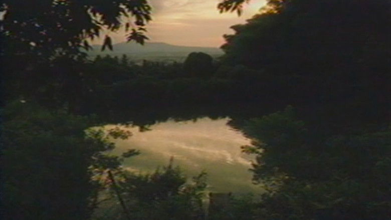 кадр из фильма 火垂