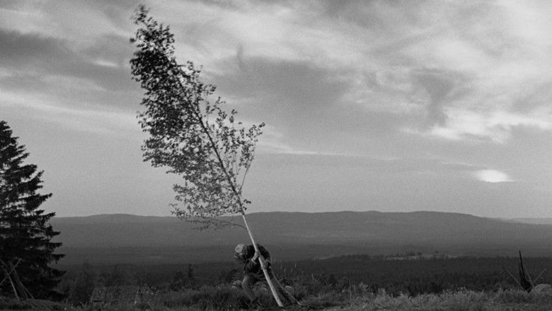 кадр из фильма Девичий источник