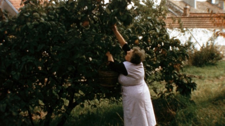 кадр из фильма Mémé