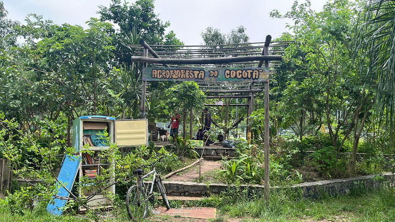 кадр из фильма Curta Agrofloresta do Cocotá