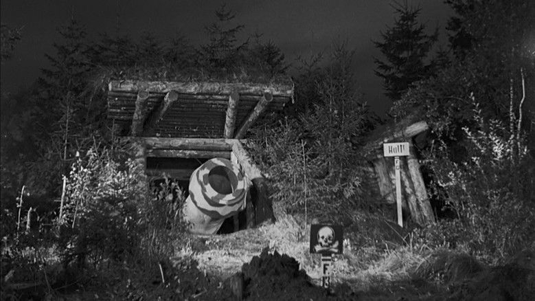 кадр из фильма Небесный тихоход