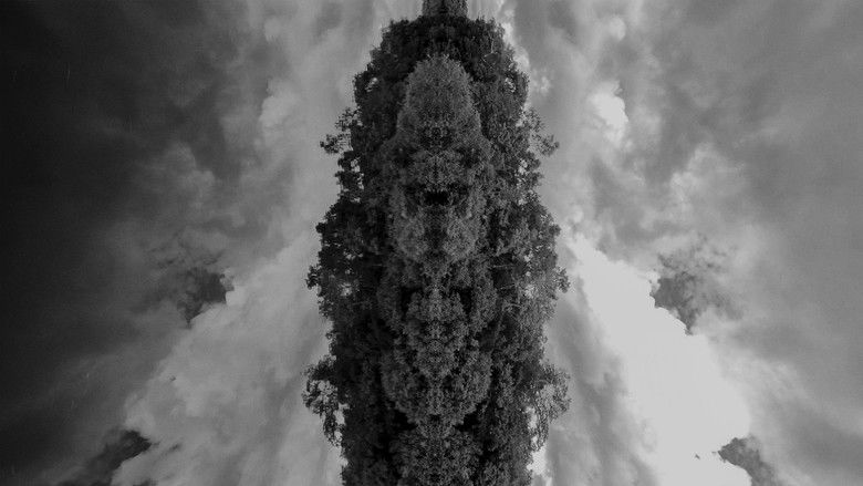 кадр из фильма Espacio sagrado