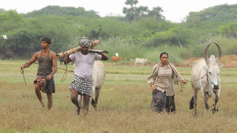кадр из фильма பைசன் காளமாடன்