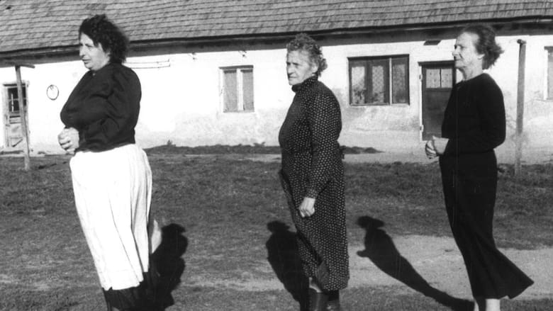 кадр из фильма Szél