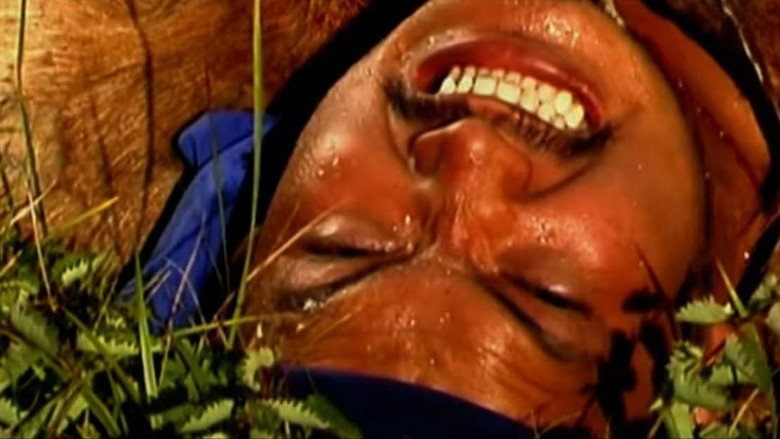 кадр из фильма Уулын төмөр