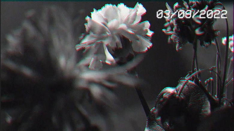 кадр из фильма Empty Memories of Broken Hearts