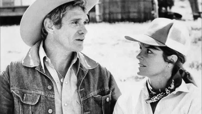 кадр из фильма Rodeo Girl