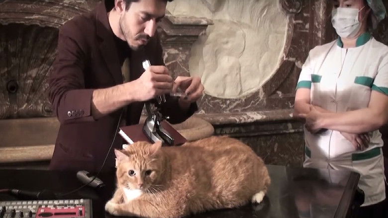 кадр из фильма Metacinema appliqué