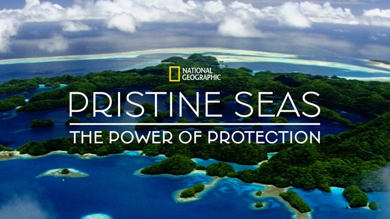 кадр из фильма Pristine Seas: The Power of Protection