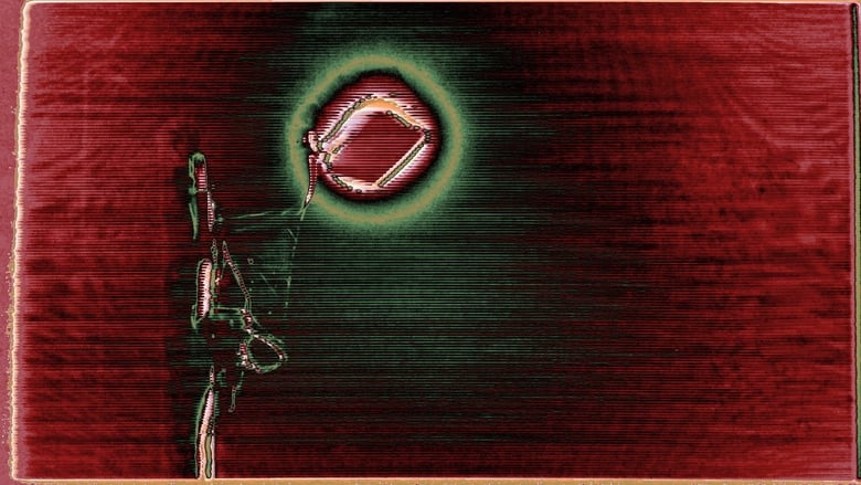 кадр из фильма fall light