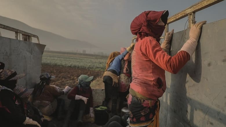 кадр из фильма Aamelat. Jornaleres de la guerra