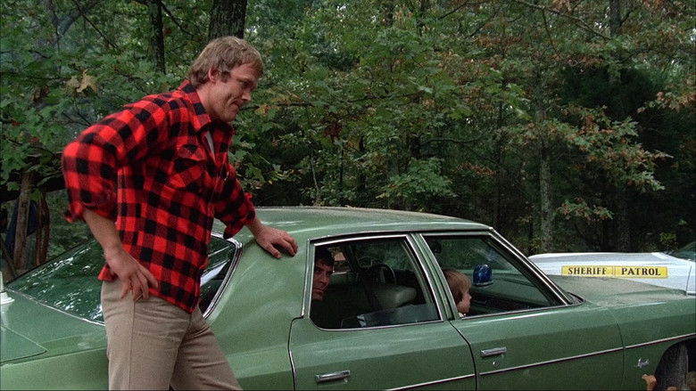 кадр из фильма Final Chapter: Walking Tall