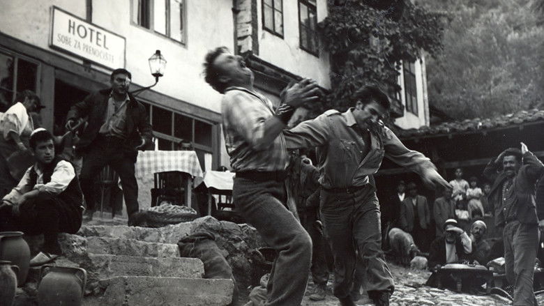 кадр из фильма Brat doktora Homera