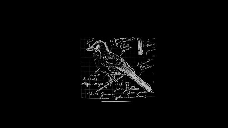 Een vogel met jouw naam