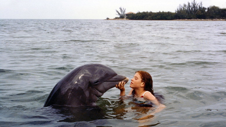 кадр из фильма La Grenouille et la Baleine