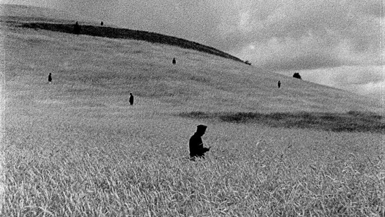 кадр из фильма Хлеб