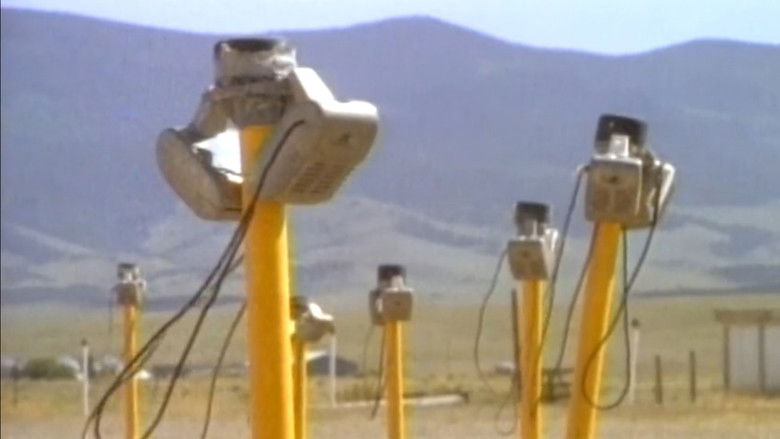 кадр из фильма After Sunset: The Life & Times of the Drive-In Theater