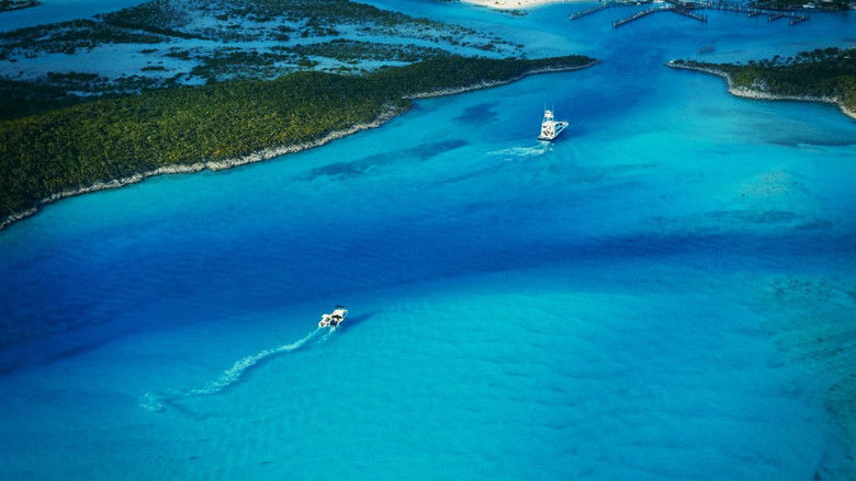 кадр из фильма Афёра Fyre