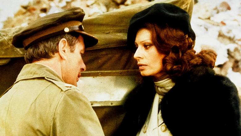 Звездная мишень