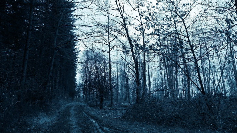 кадр из фильма Void Madness