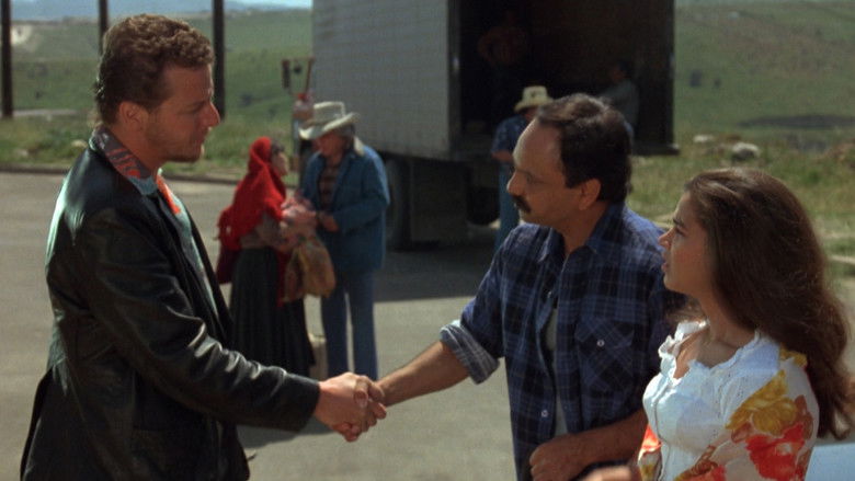 кадр из фильма Born in East L.A.