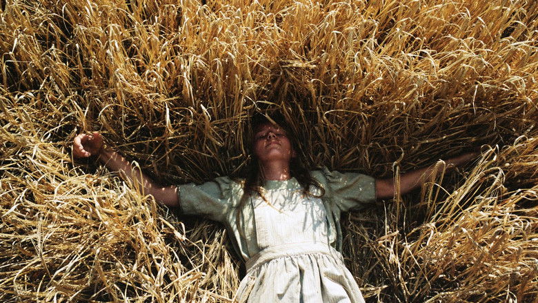 кадр из фильма Как на небесах