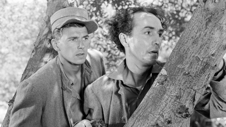 кадр из фильма Smashing the Money Ring