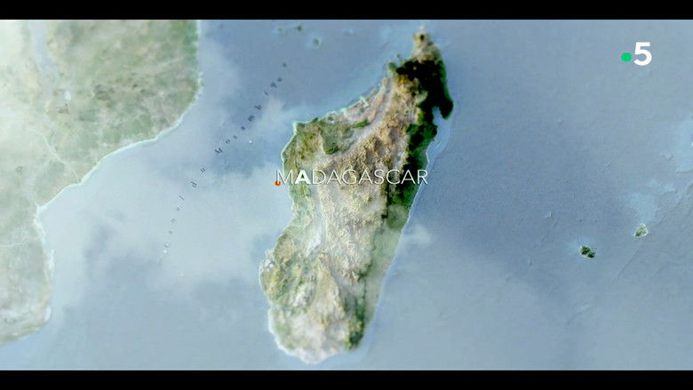 кадр из фильма Ivohiboro, la forêt oubliée