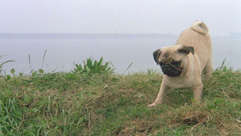 кадр из фильма Приключения Майло и Отиса