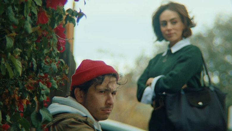 кадр из фильма The Man With The Cardboard Box