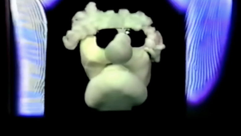 The Family Stones: A Lesson On Cautiousness