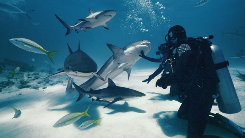 кадр из фильма Wild Life - Sharks